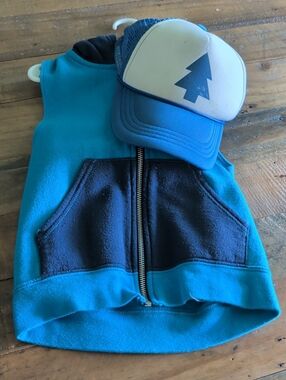 Disney Gravity Falls Dipper Pines Costume Navy  Zip Hoodie with Truckers Cap